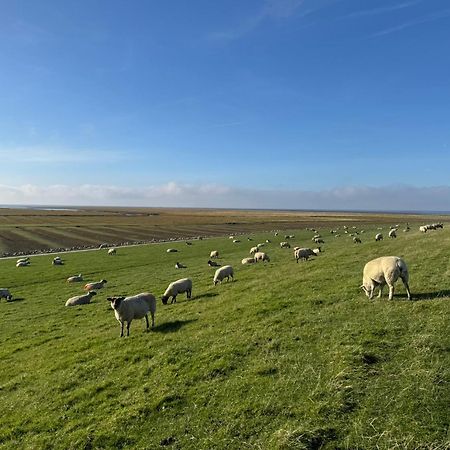 Nordseetraum - Ferienhaus Wolke Friedrichskoog Ngoại thất bức ảnh