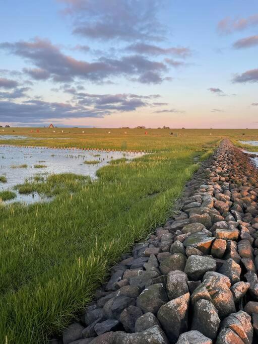 Nordseetraum - Ferienhaus Wolke Friedrichskoog Ngoại thất bức ảnh